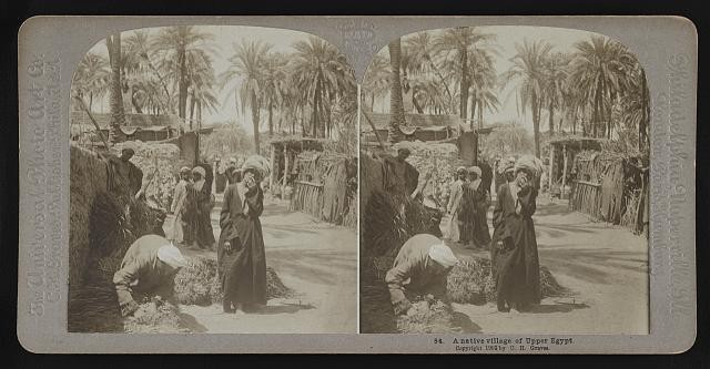 Photo:Upper Egypt Egypt 1900s Native Village Palm Grove Stereograph