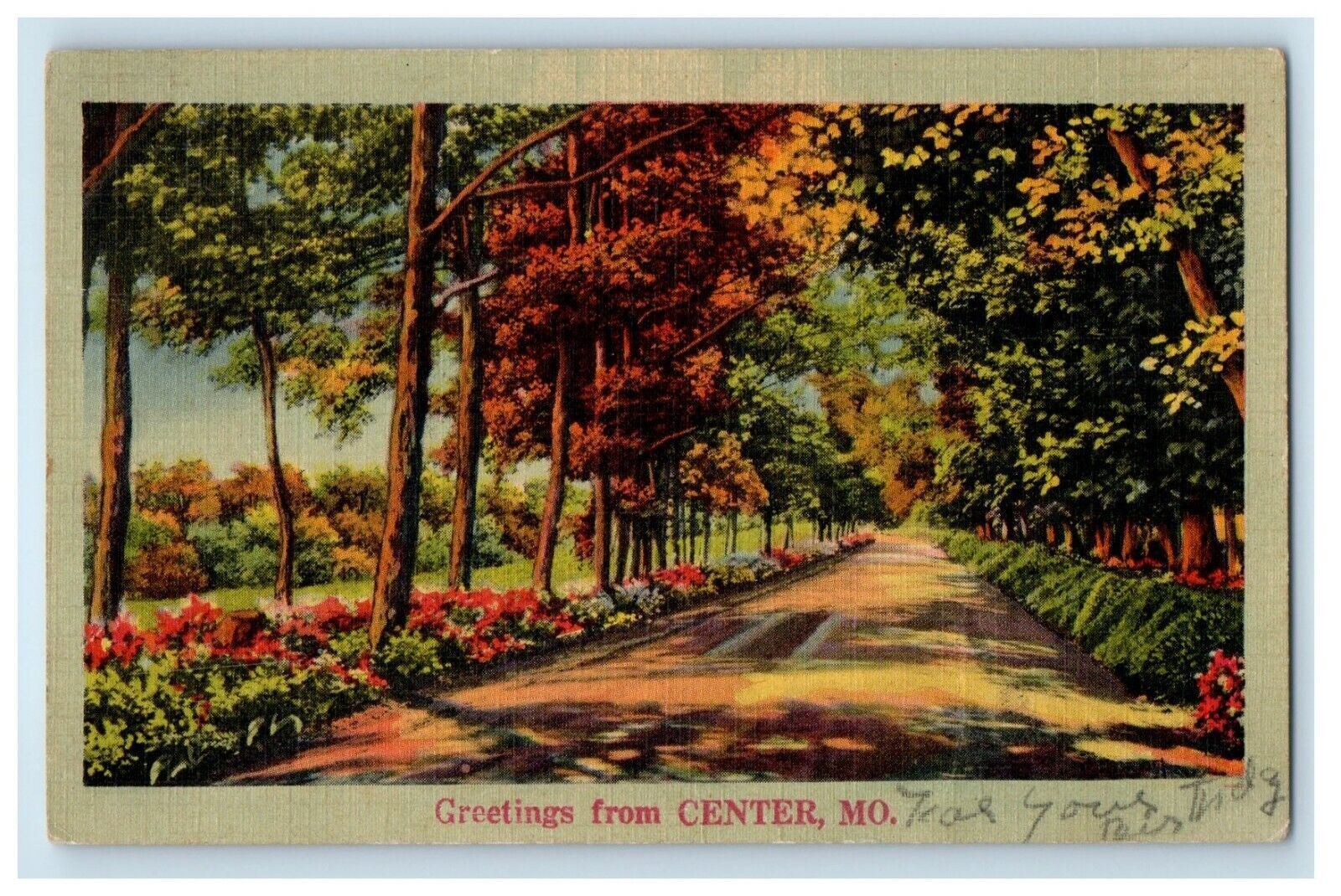 1947 Greetings From Center Missouri MO, Road And Trees Posted Vintage Postcard