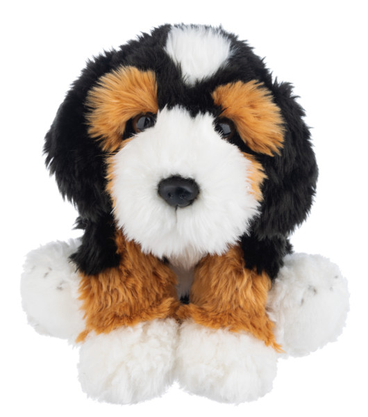 The Heritage Collection Bernedoodle 12
