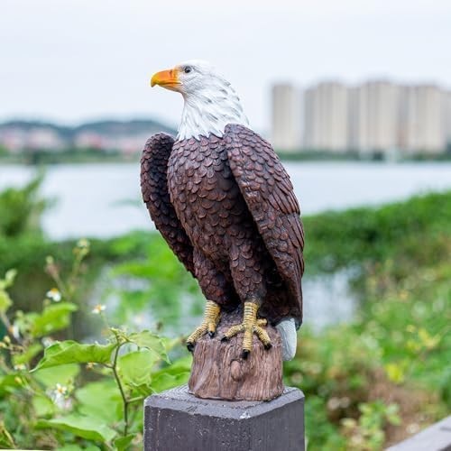 Bald Eagle Statue Outdoor - Large American Eagle Figurine for Garden, Yard...... Bald Eagle Statue Outdoor - Large American Eagle Figurine for Garden, Yard......