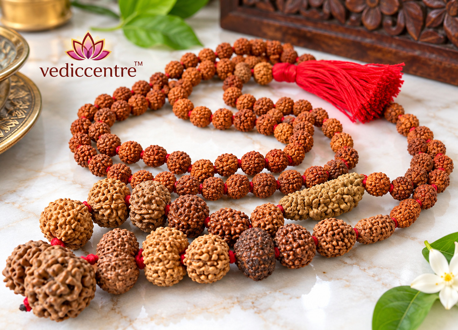 Rudraksha Siddha Mala 1 Mukhi To 14 Mukhi Rudraksha Java Origin Lab Certified