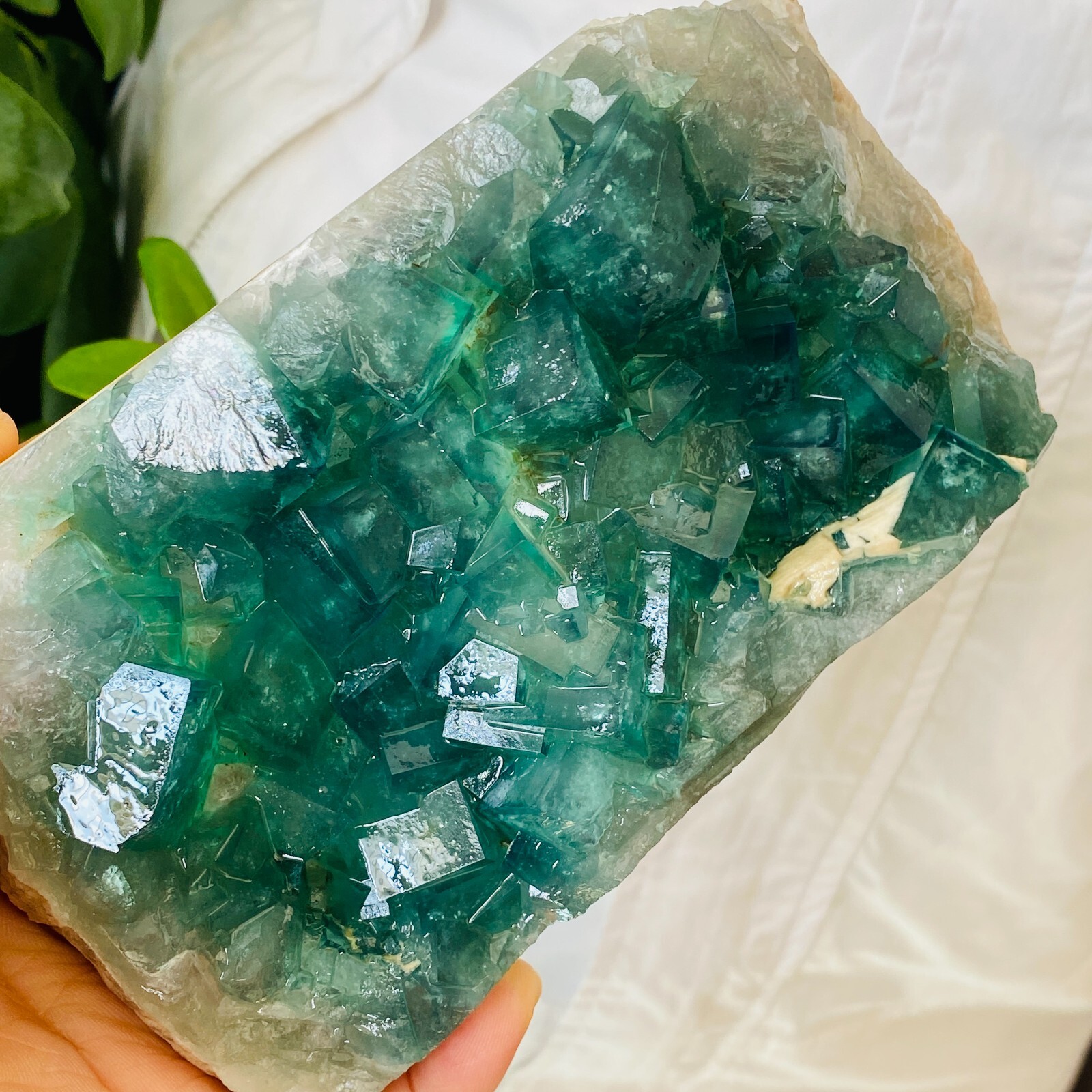 1.85LB Rare NATURAL Green FLUORITE Quartz Crystal Mineral Specimen Healing
