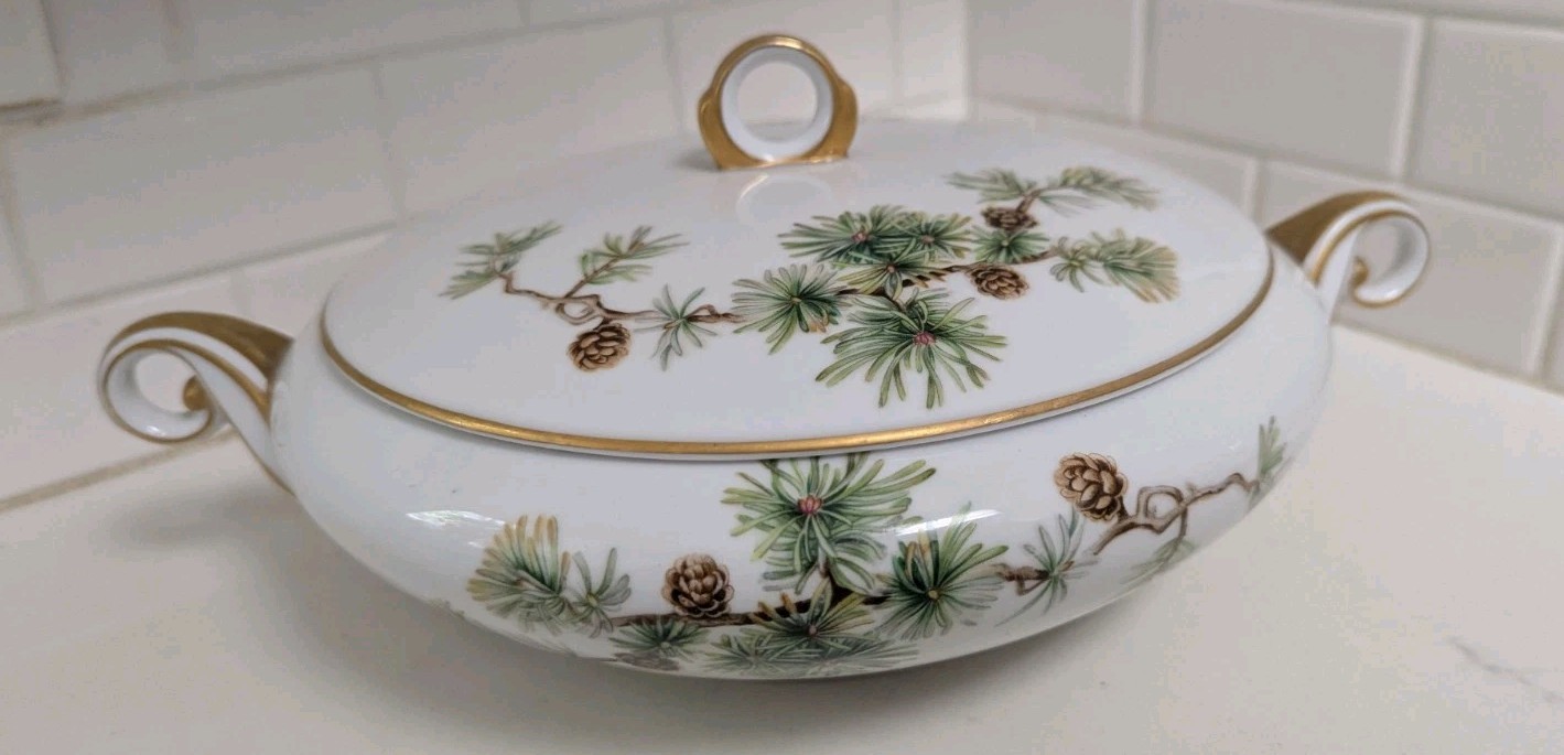 Vintage Ancestral Spring Glory Soup Tureen Covered Serving Dish Cherry Blossom Vintage Ancestral Spring Glory Soup Tureen Covered Serving Dish Cherry Blossom