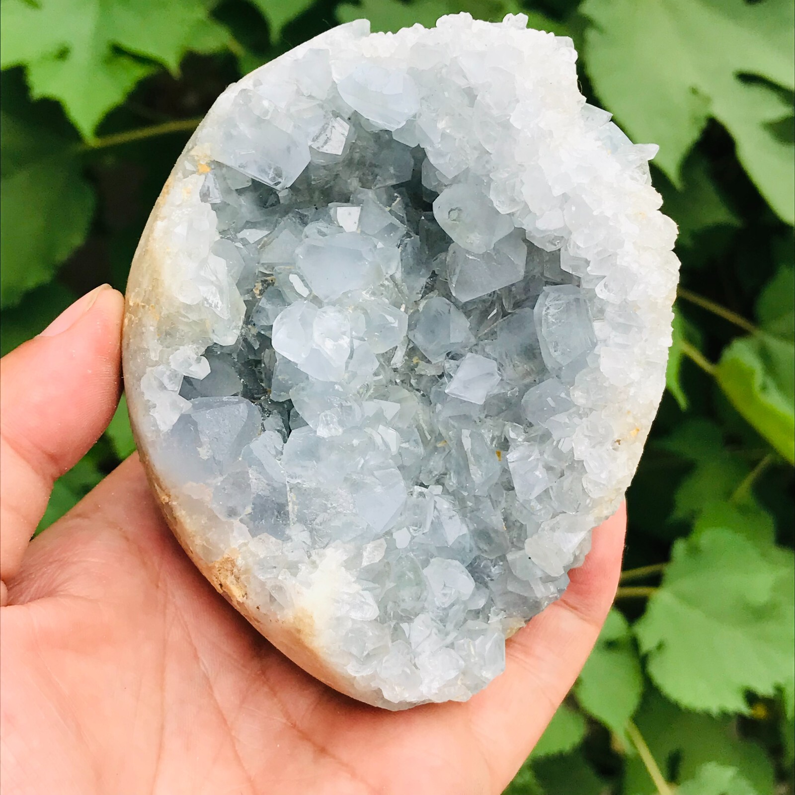 933g Natural Blue Celestite Geode Quartz Crystal Mineral Specimen Healing