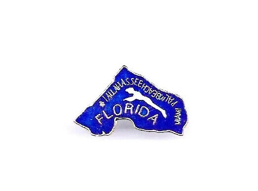 Vintage Florida Sunshine State Hat/Lapel