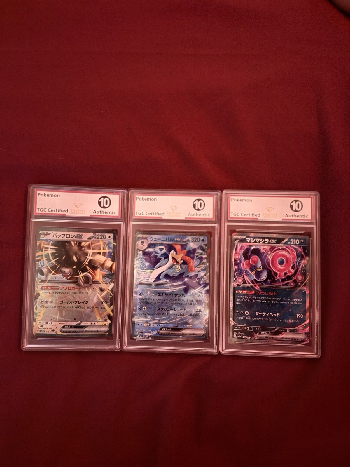 TGC Graded 10 Ex Lot TGC Graded 10 Ex Lot