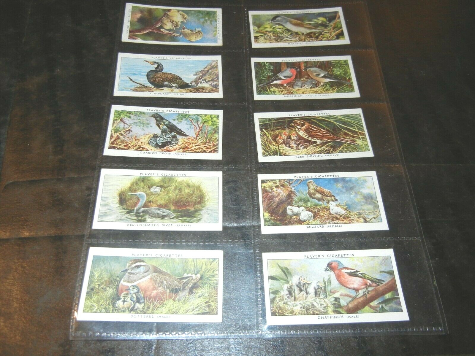 1937 John Player & Sons Birds and Their Young Complete Set of 50 Tobacco Cards 1937 John Player & Sons Birds and Their Young Complete Set of 50 Tobacco Cards