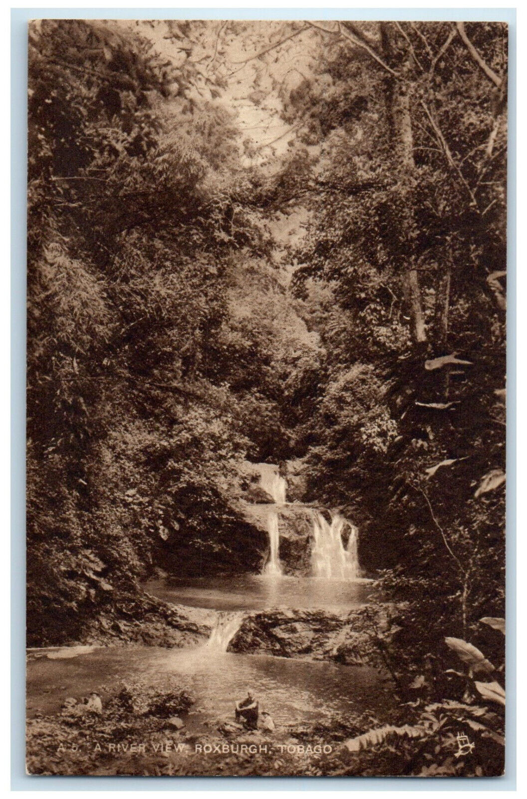 c1910 A River View Roxburgh Tobago Trinidad and Tobago Antique Postcard