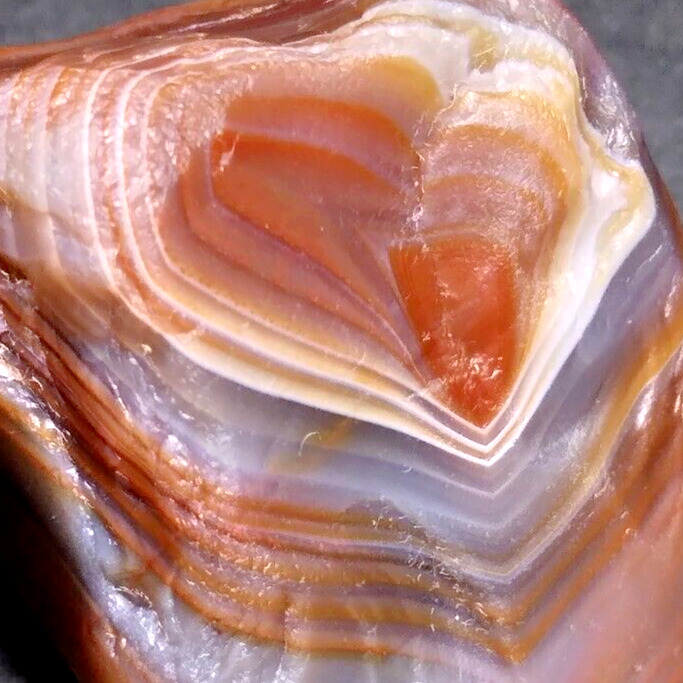 Lake Superior Agate 1.06 oz 'RED WHITE & BLUE' Rough Collector Quality Gemstone