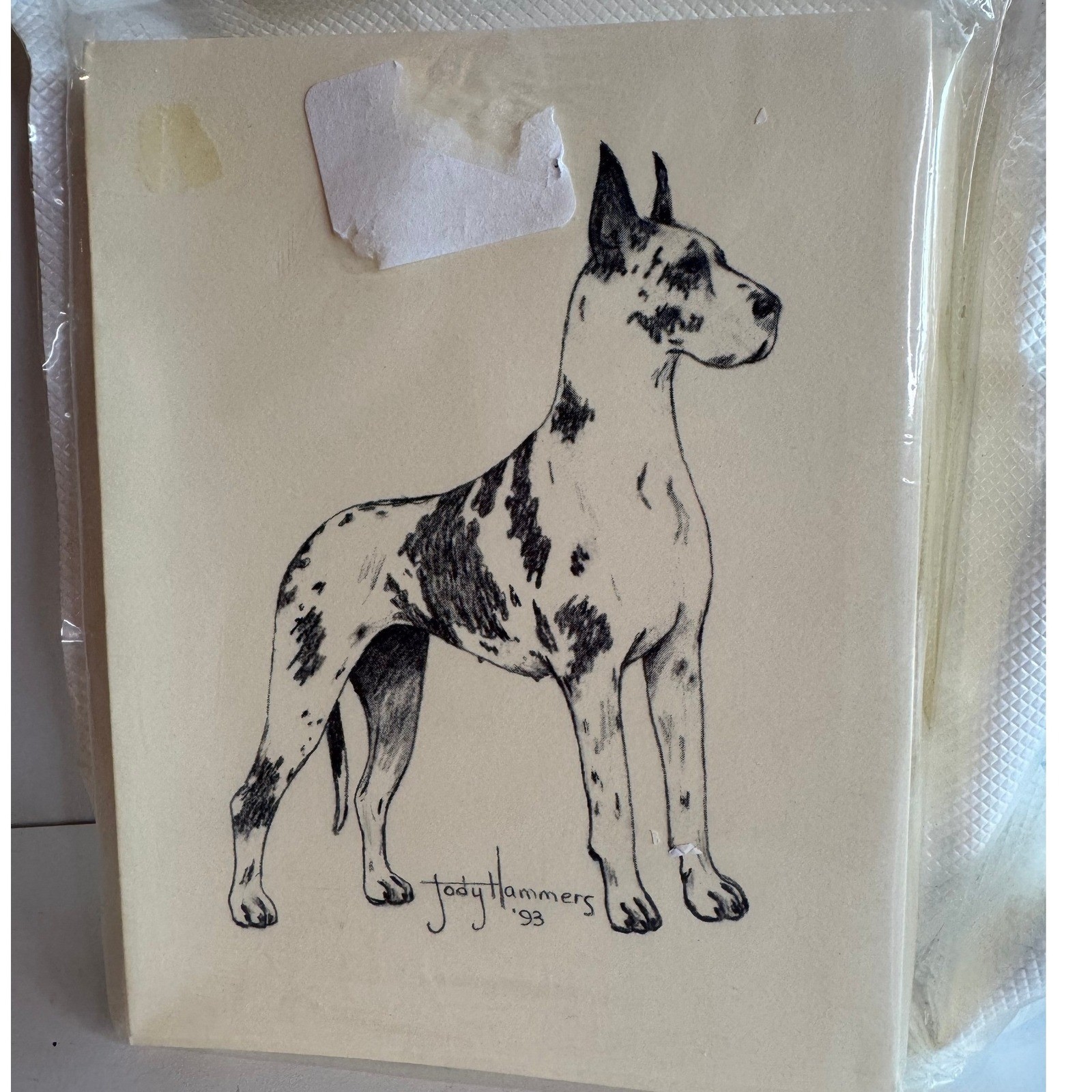 Vintage Great Dane Dog Note Cards Stationery Set Jody Hammers 1993