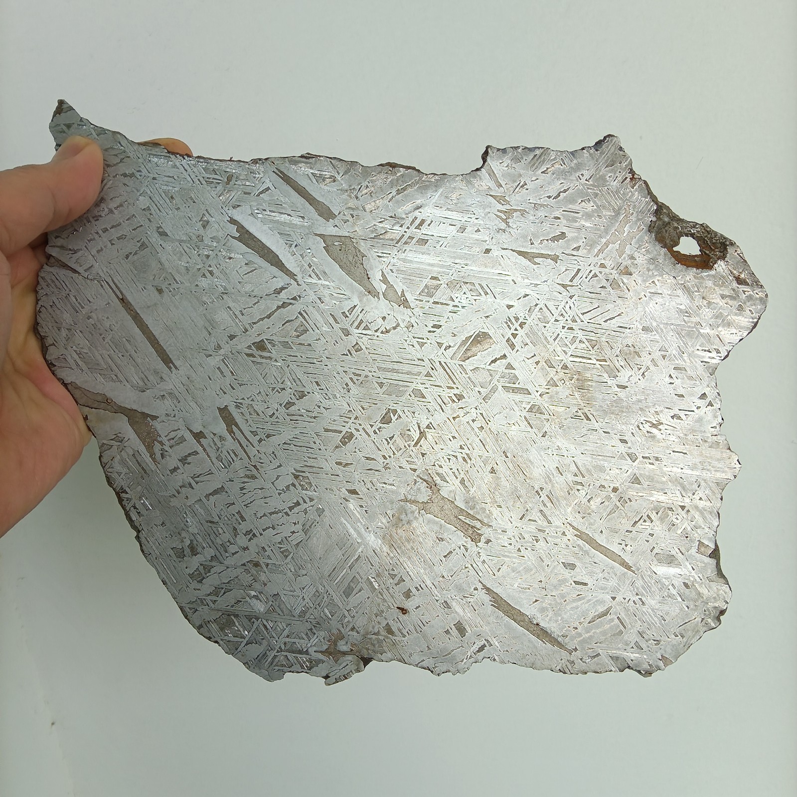 Natural Aletai Iron Meteorite 644.2 Grams Thin Cut Slabs Perfect Etch Fusion Cru Natural Aletai Iron Meteorite 644.2 Grams Thin Cut Slabs Perfect Etch Fusion Cru