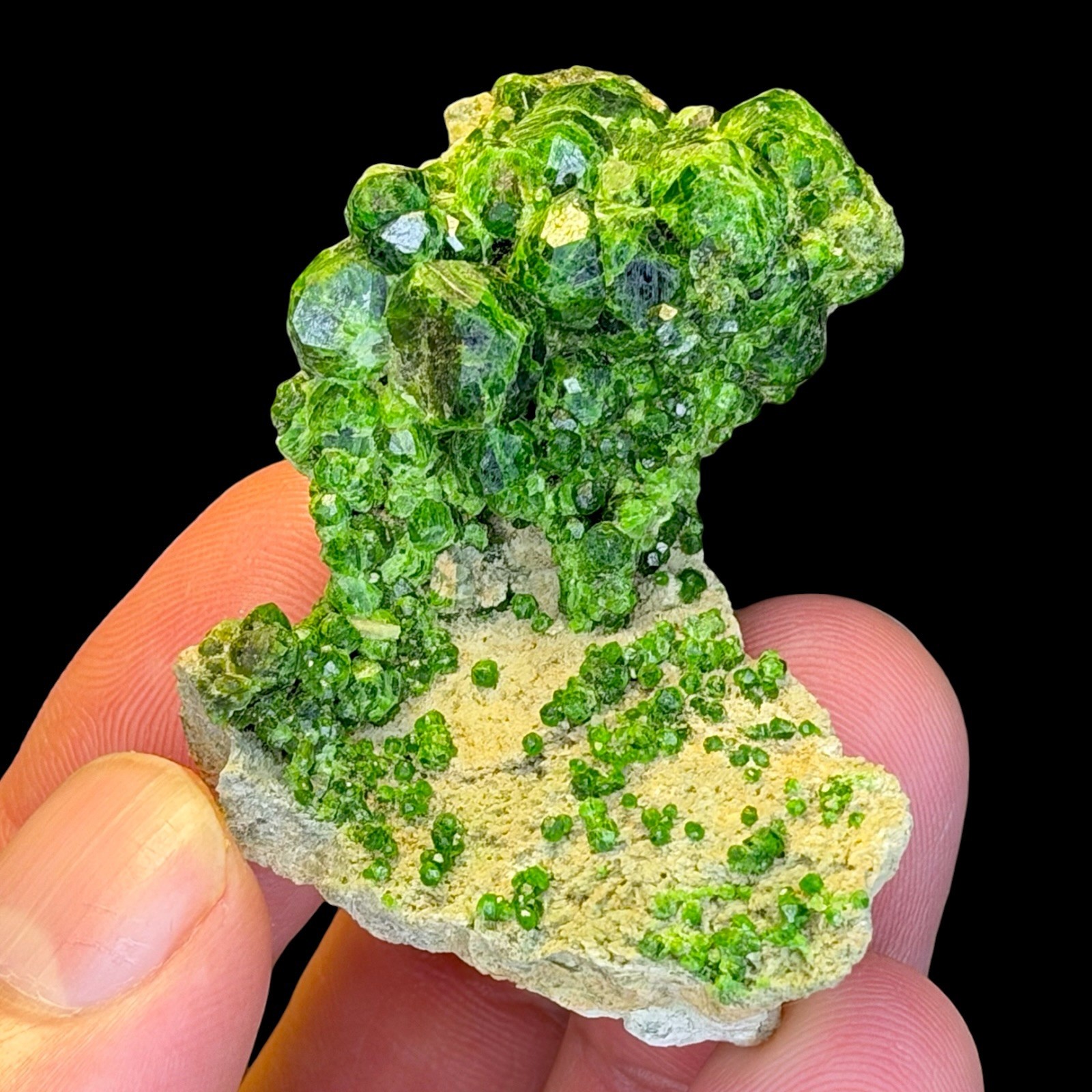 Natural Demantoid Garnet Crystal Cluster on Matrix, Andradite Mineral Specimen