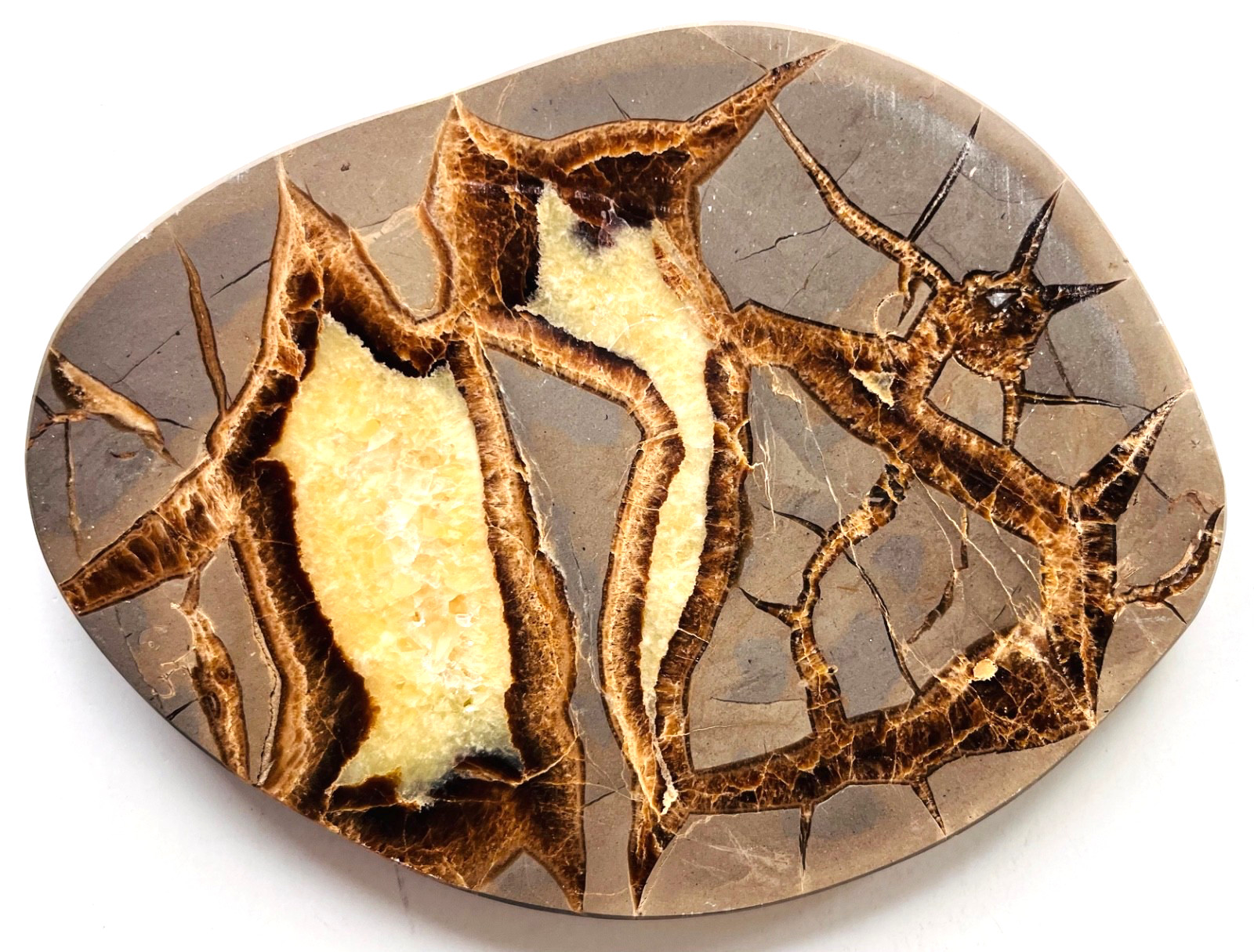 Large 388 gram Polished SEPTARIAN Nodule Lapidary Slab Rock Slice 6\