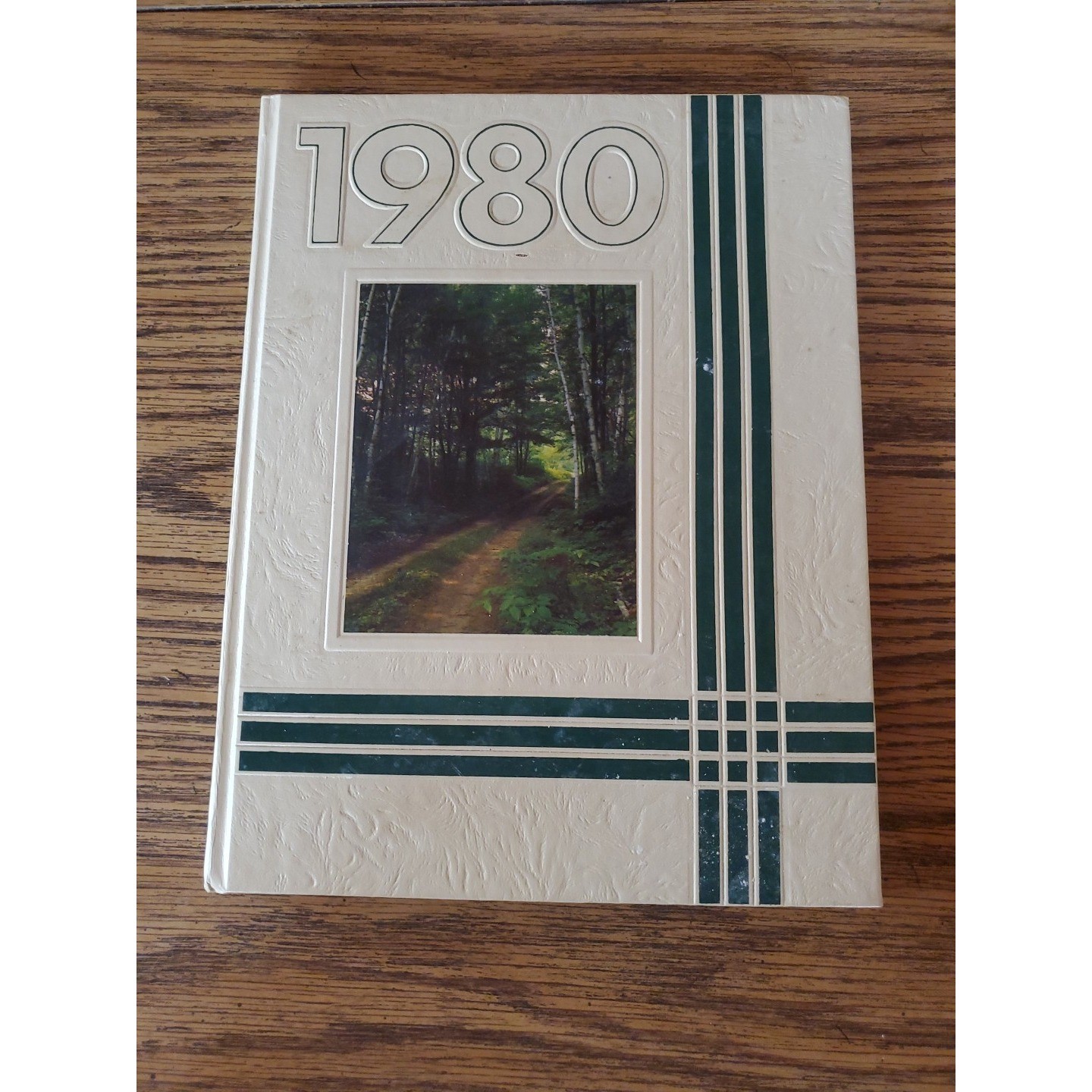 Vintage 1980 South Glens Falls High School NY Yearbook \