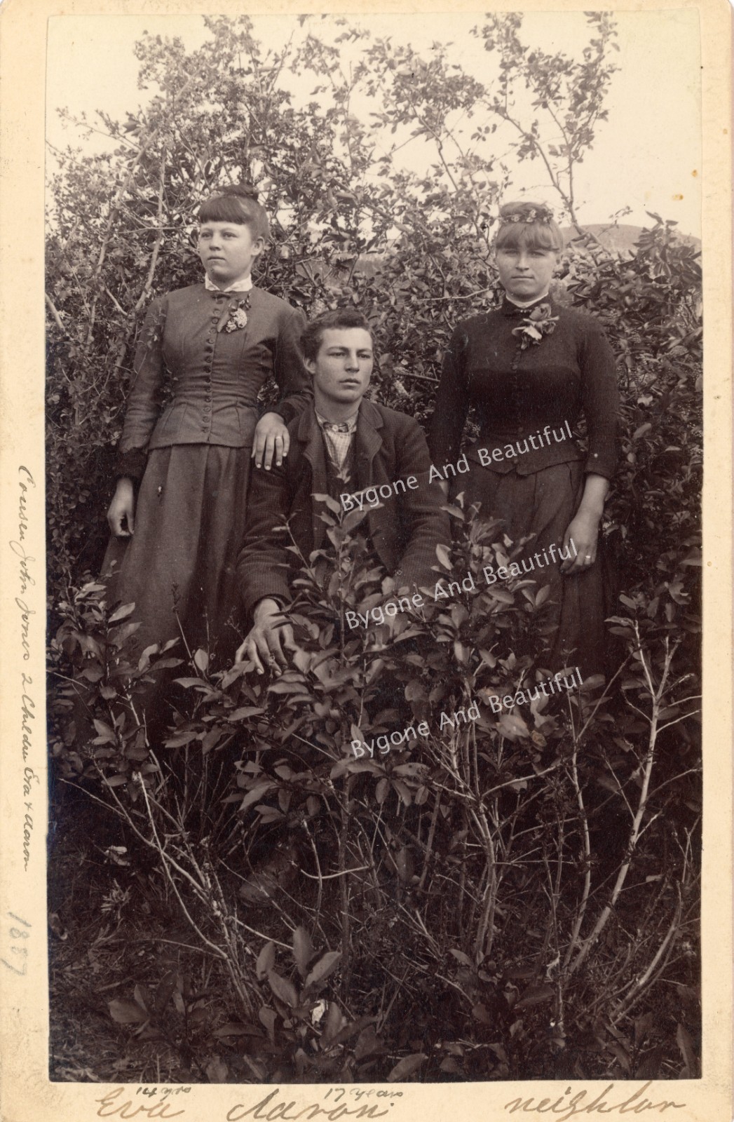 Cabinet Card Unique Composition Outdoor Scene Brother Sister Friend Crisp 1887