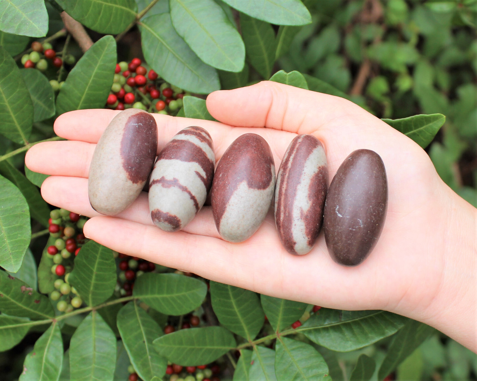 Shiva Lingam Stones 1-6\