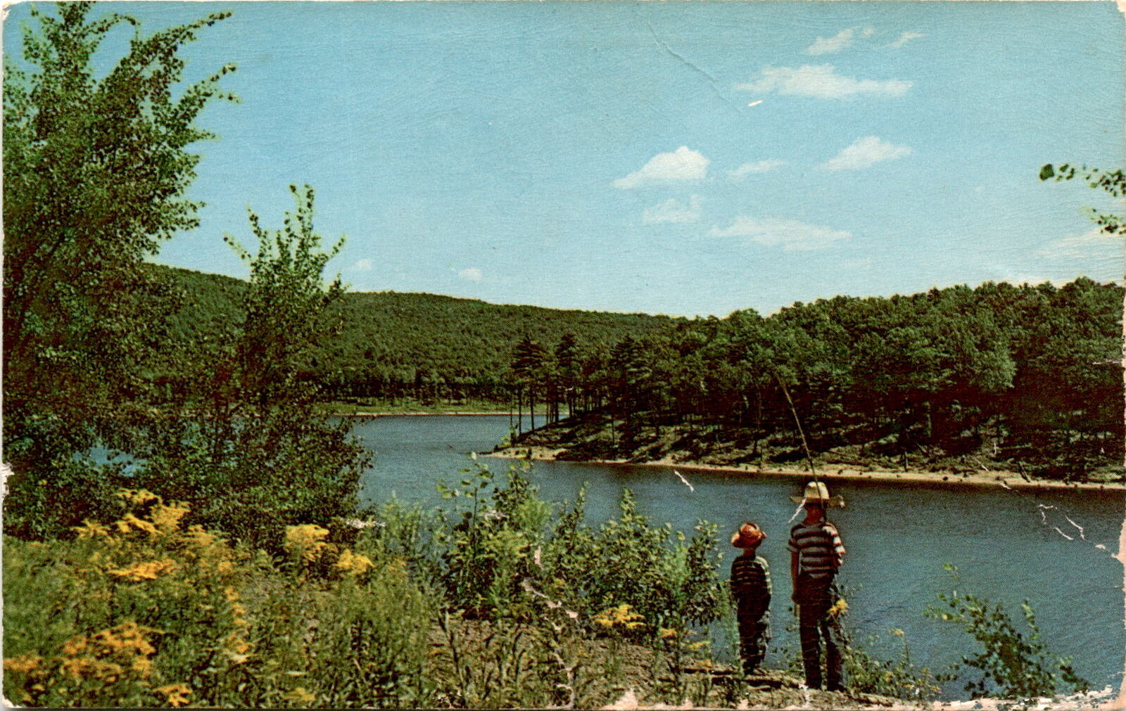 Alanson, Michigan, postcard, 3-D, natural color reproduction, charming  Postcard