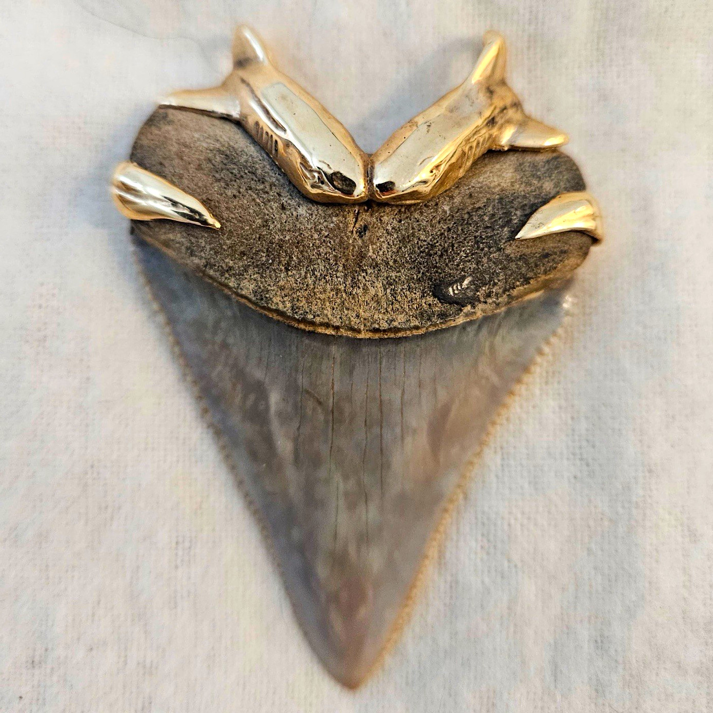 Rare Fossil Shark Tooth Necklace – Handcrafted by Vito Bertucci