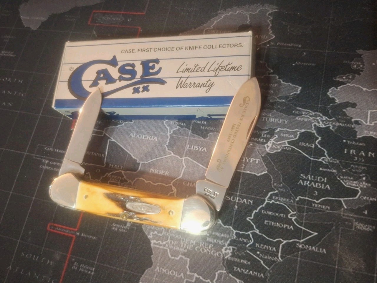 1989 CASE XX TESTED CENTENNIAL STAG HANDLE CANOE KNIFE 52131 SS NIB 