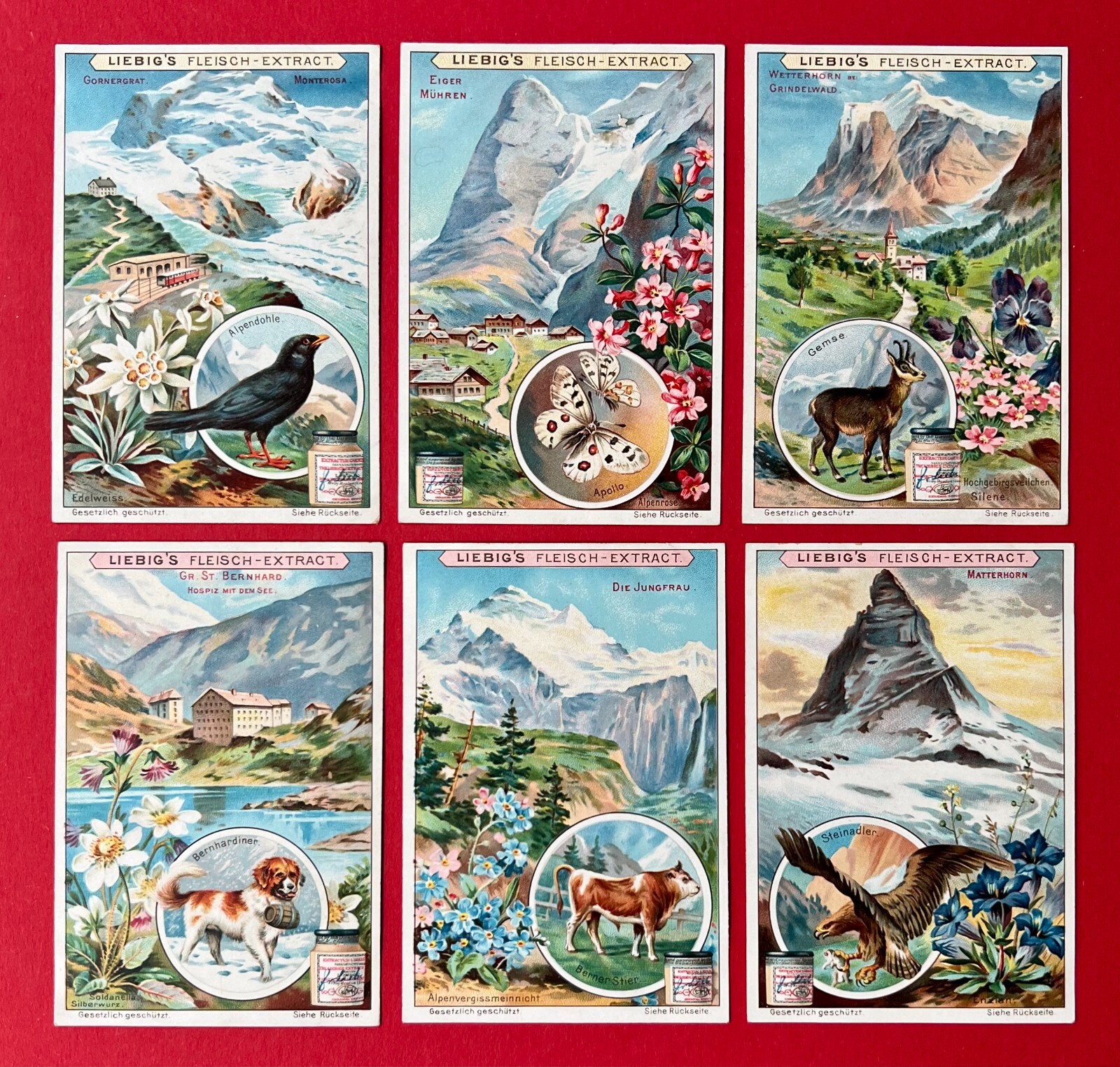 6 x advertising collectible picture Liebig\'s meat extract complete Series Switzerland (153646