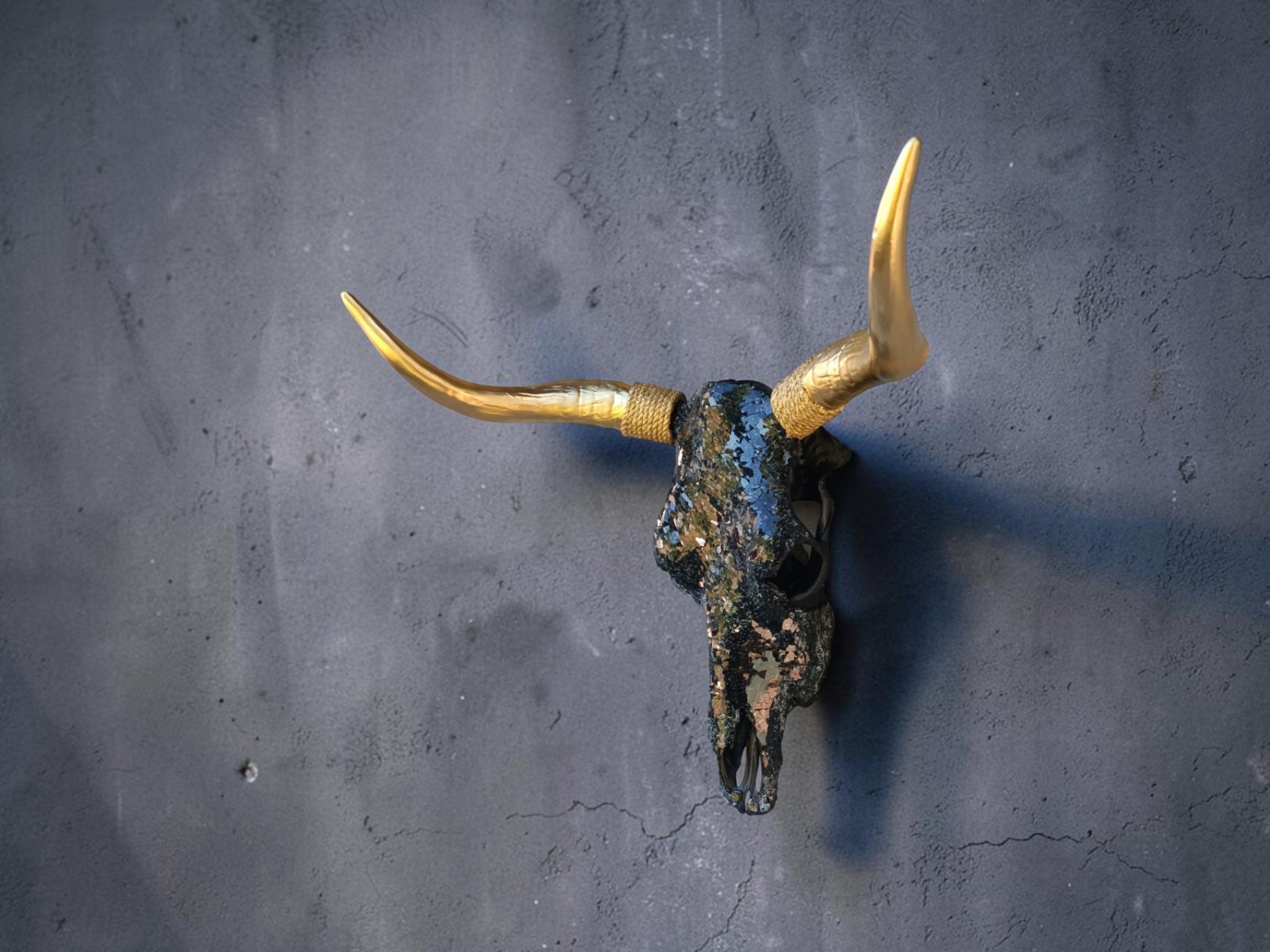 Real bull skull. Wall decor. Cow skull. Real bull skull. Wall decor. Cow skull.
