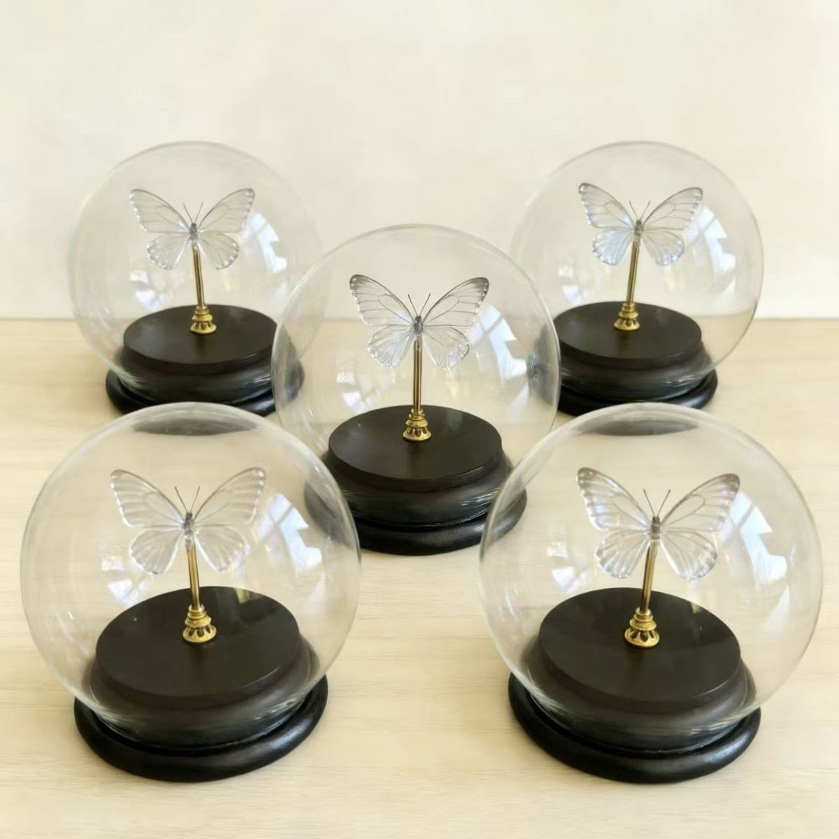 5Pcs Glass Display Dome Cloche with Black Base Butterfly Specimen DIY Decor