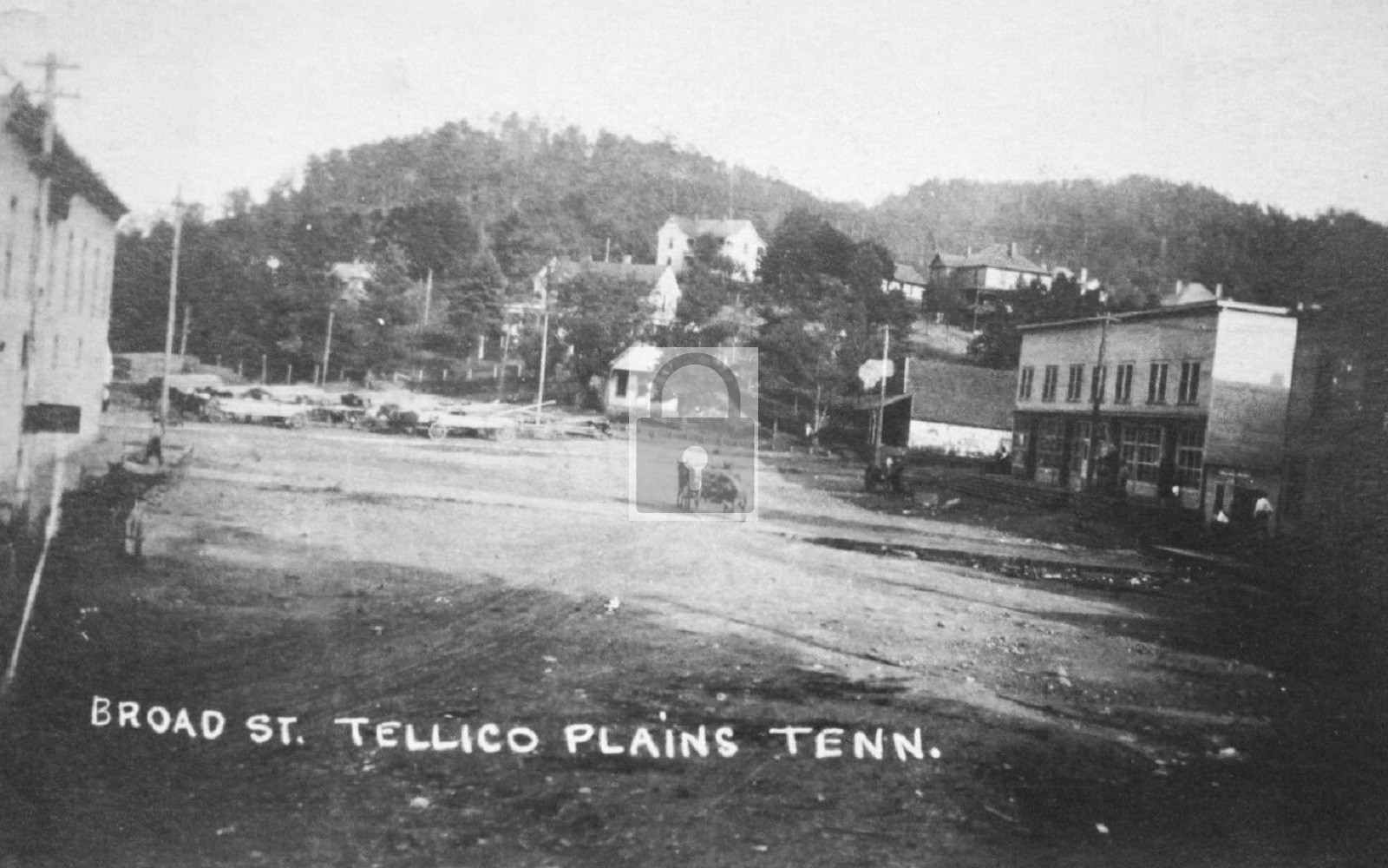 Broad Street View Tellico Plains Tennessee TN - Reprint