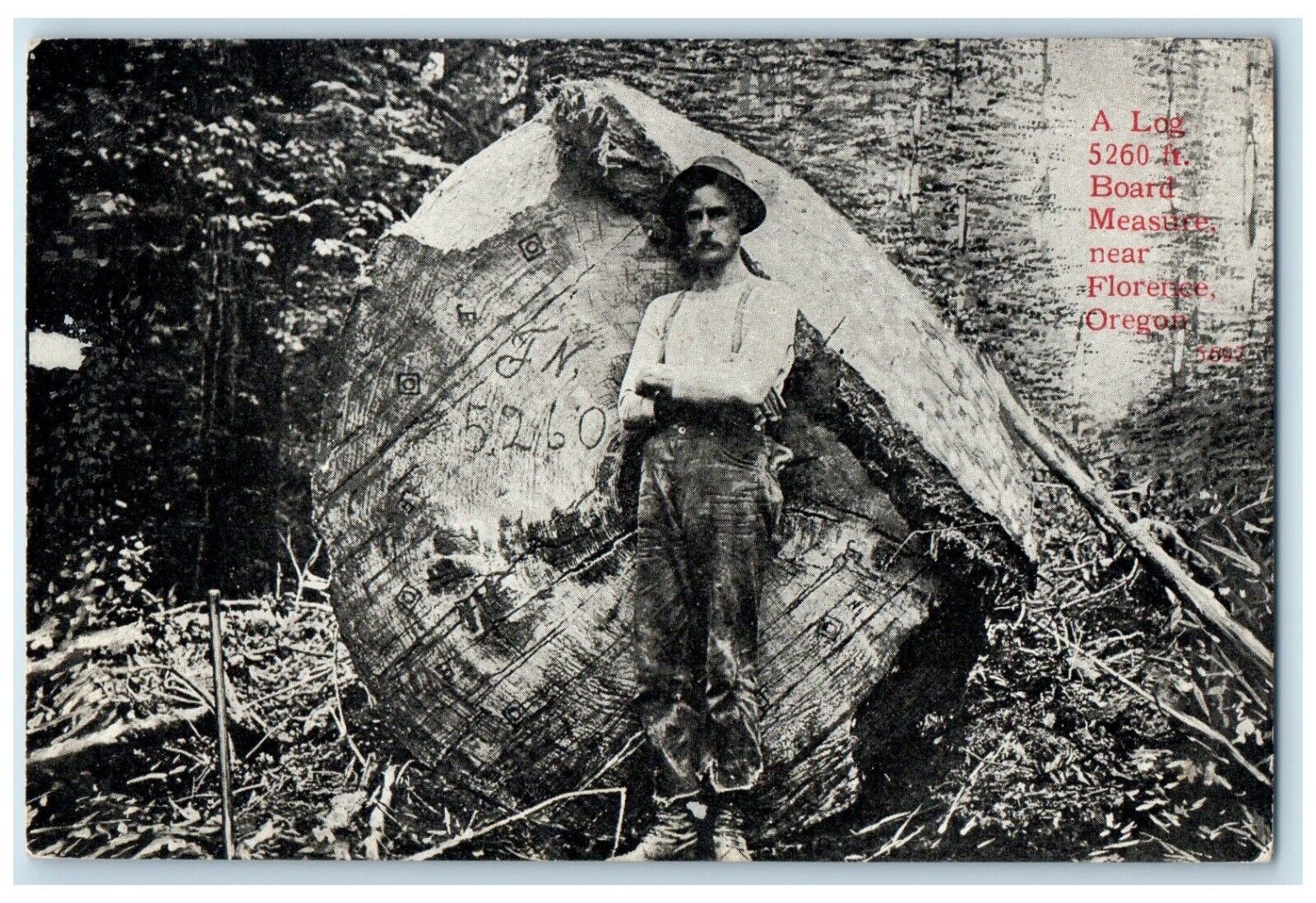c1910's A Log 5260 Ft. Board Measure Florenee Oregon OR Antique Postcard