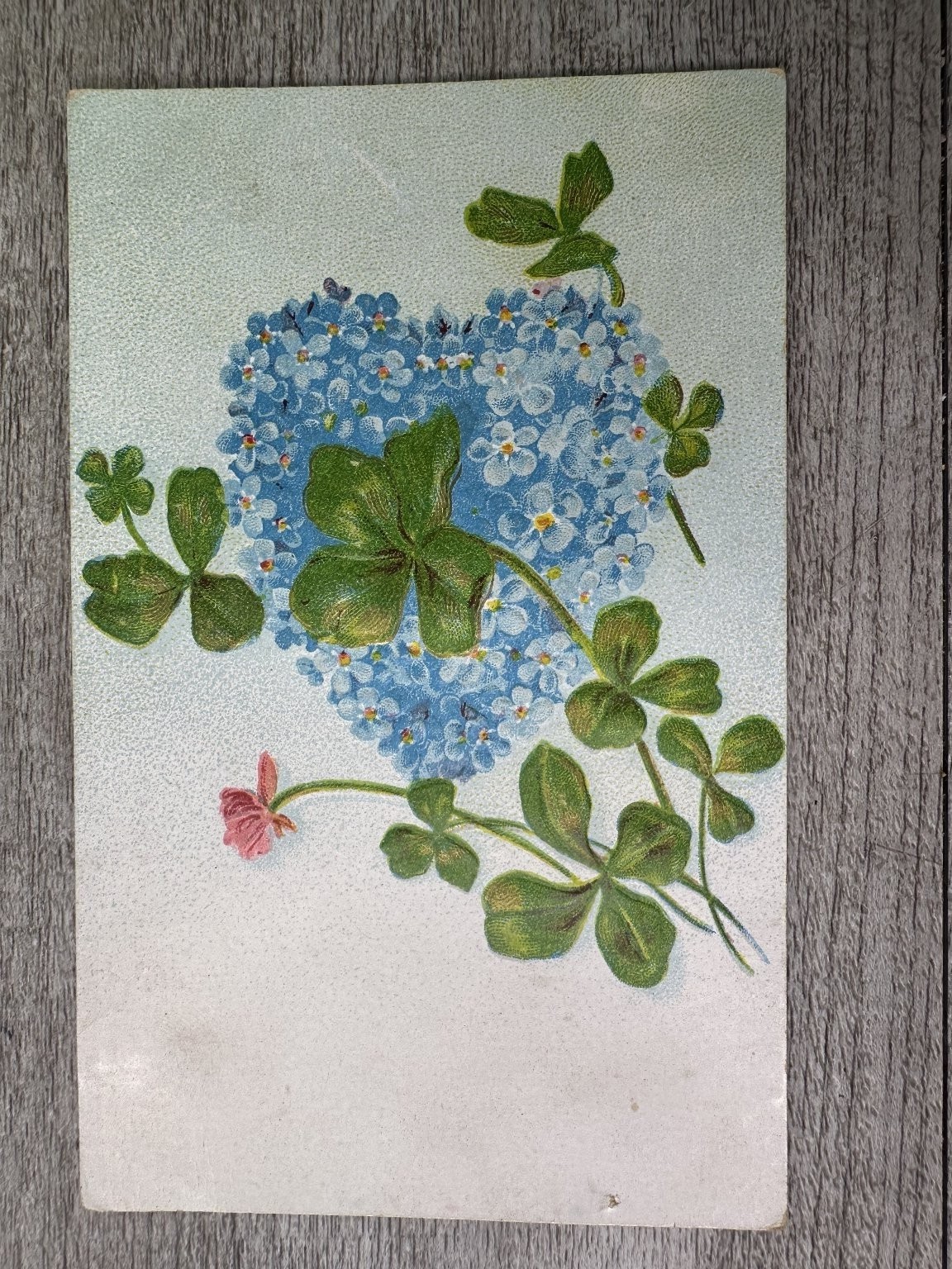 Antique Embossed Forget-Me-Not & Clover Postcard Printed in Germany Antique Embossed Forget-Me-Not & Clover Postcard Printed in Germany