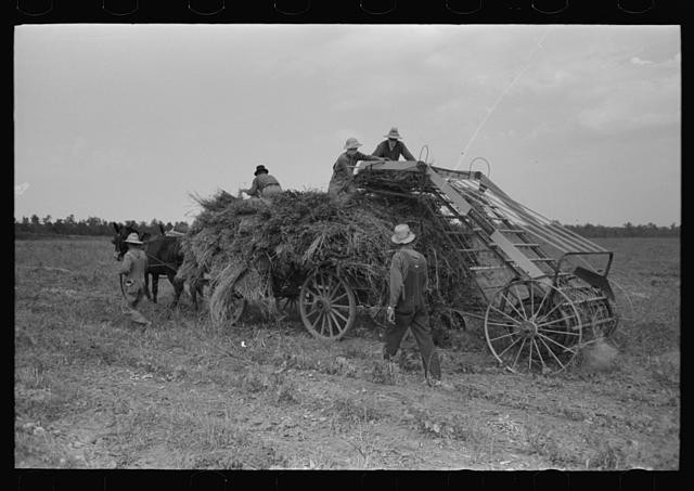 Lake Dick Project Arkansas 1940s Hay Wagon Farm Security Administration