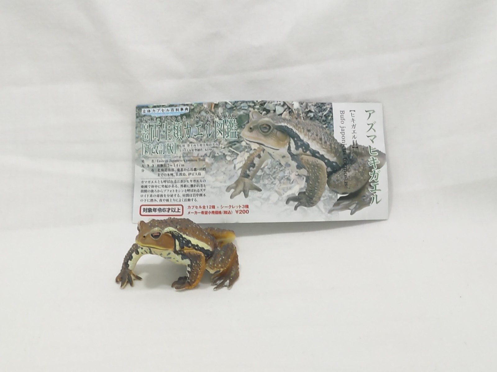 Yujin The Frog in Colour Mini Figure  Eastern Japanese Common Toad 2006