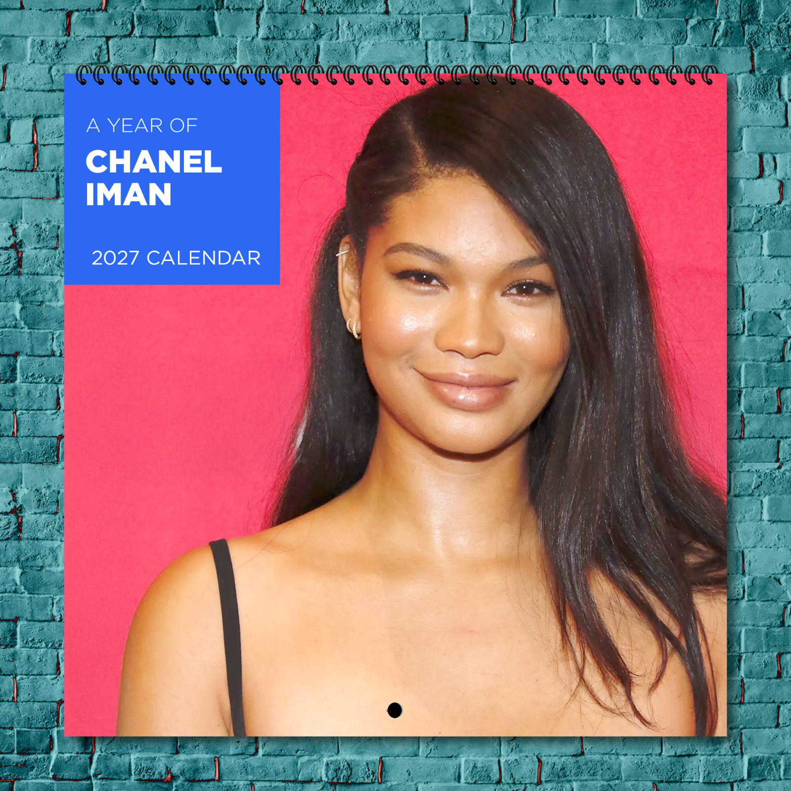 Chanel Iman 2027 Wall Calendar 12 Month Celebrity Photo Fan Collectible