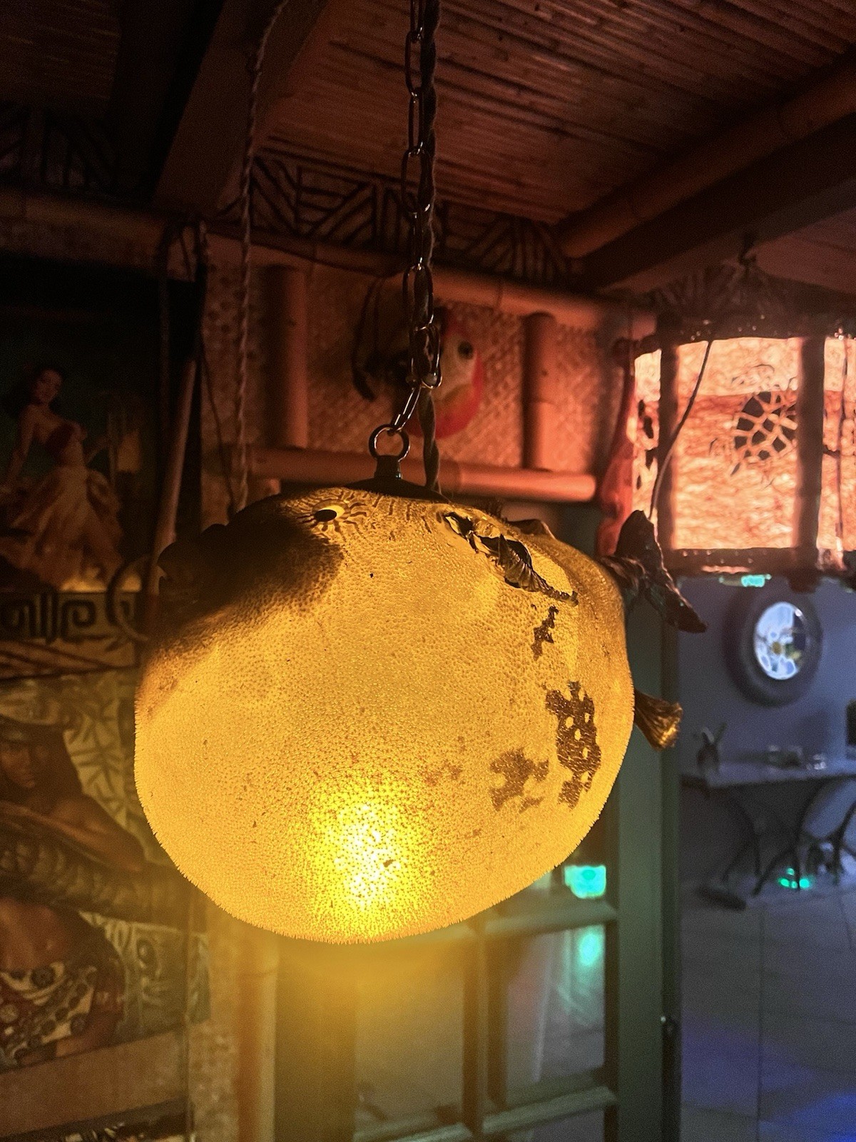 NEW Real 17” Parrot Pufferfish Lamp Tiki bar Oceanic Very Hard To Find