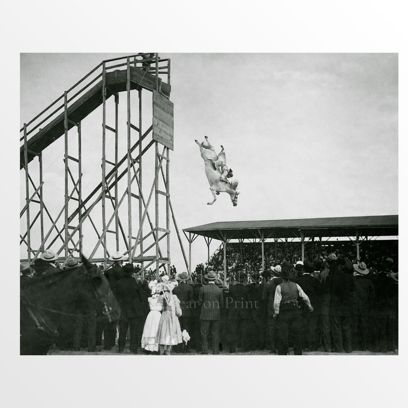 Vintage Atlantic City 1930s High Diving Horse Giclee Fine Art Print