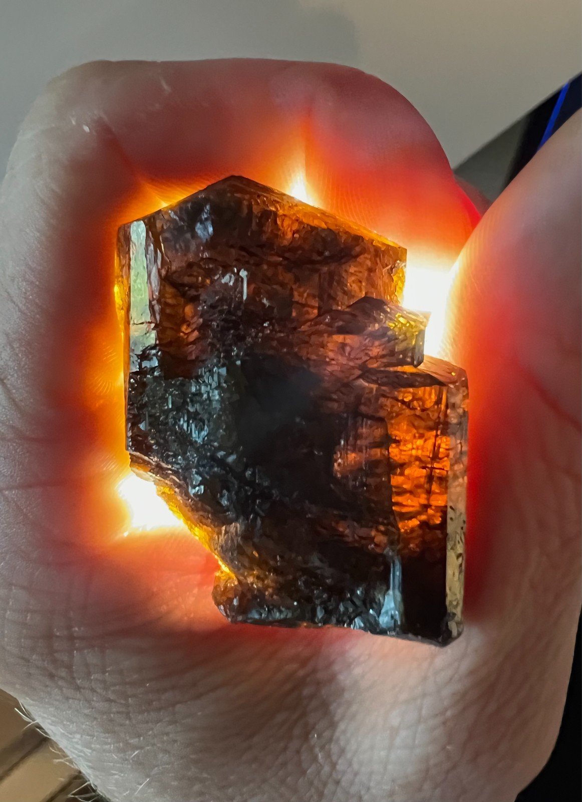 Australian Root Beer Dravite Tourmaline Crystal 43g - Yinnietharra Mines