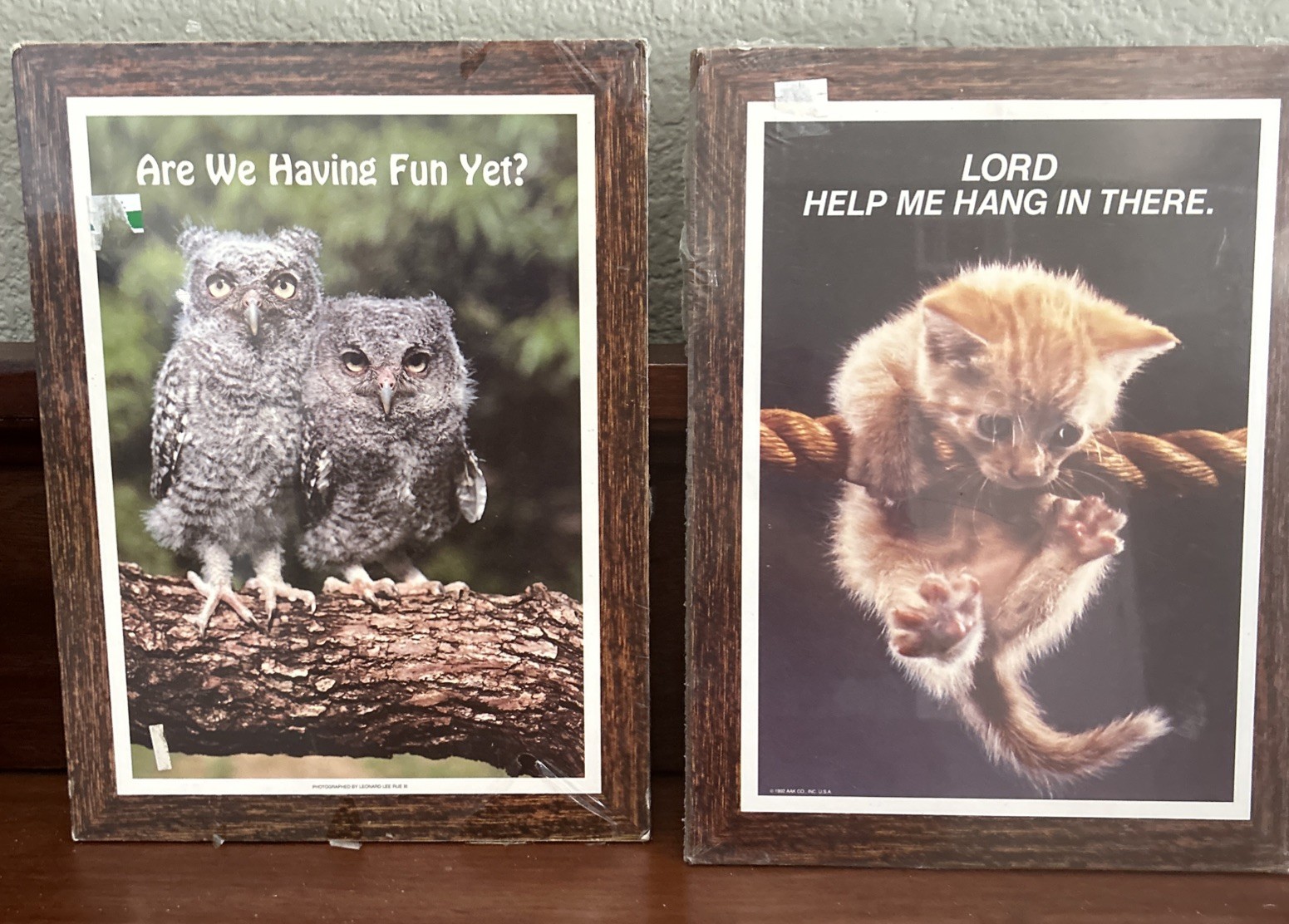 2-Vintage Leonard Lee Rue Plaques- “Having Fun Yet