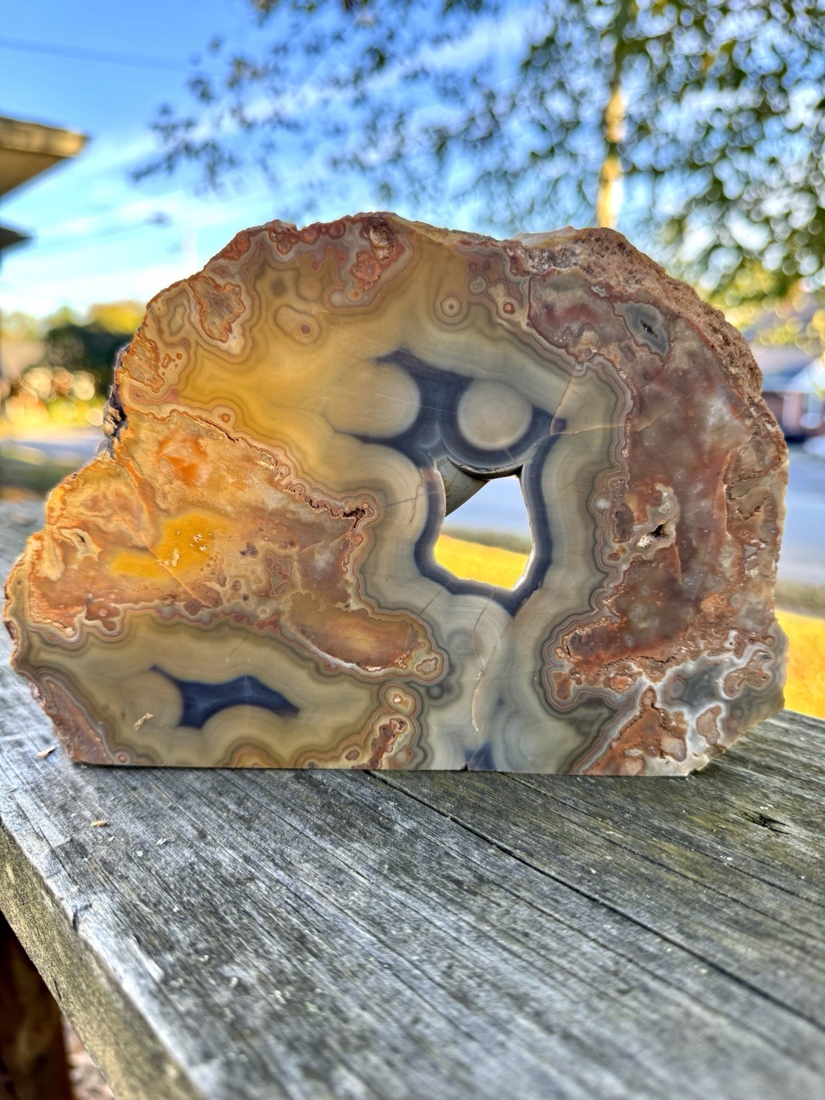 Rare Kentucky Agate Specimen from Estill County Rare Agates Display Piece