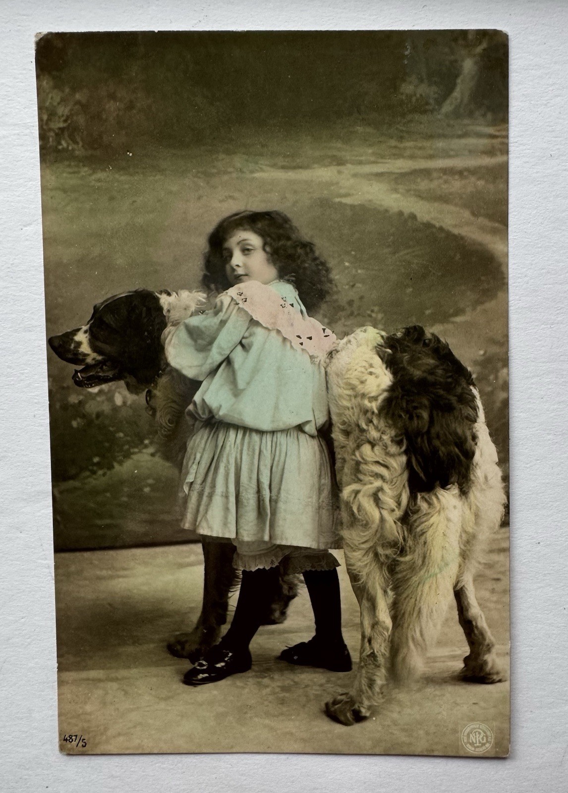 Antique Tinted RPPC Photo Postcard Huge St Bernard Dog NPG Germany Paris Girl