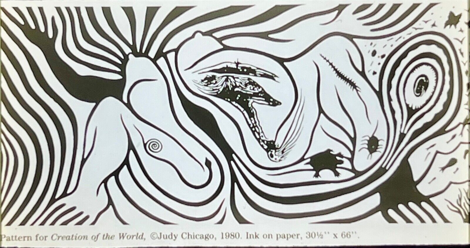 c1960s-70s Vintage 35mm Slide~JUDY CHICAGO~Feminism Art~Women Childbirth