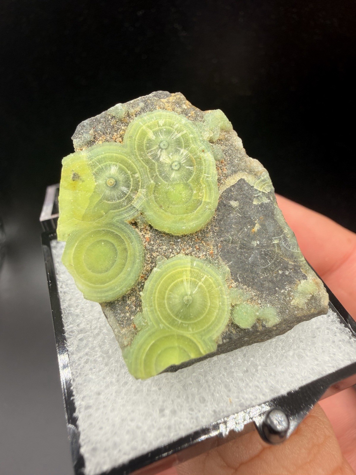 Radiating Green Wavellite Disc Eyes (Thumbnail) - Mauldin Mountain, Arkansas