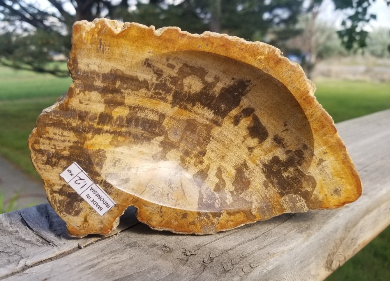 Nice Real Polished Petrified Wood Bowl 6x4 Nice Real Polished Petrified Wood Bowl 6x4