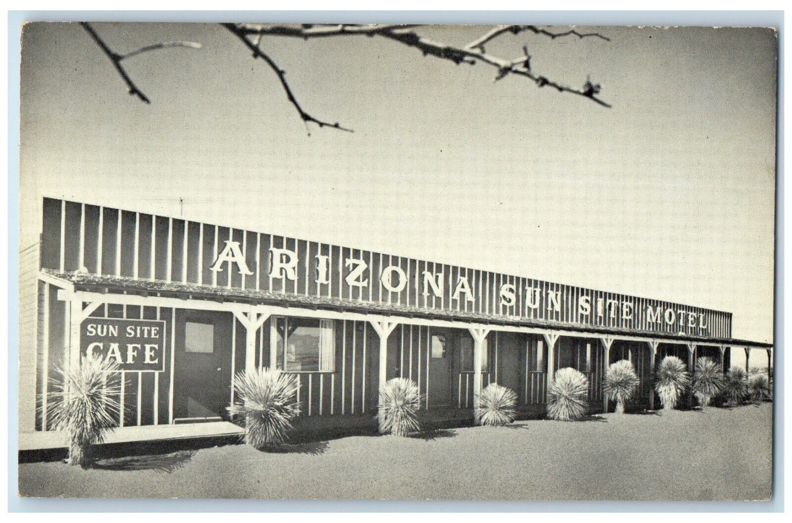 c1960's Arizona Sun Site Motel and Sales Office Pearce AZ Vintage Postcard