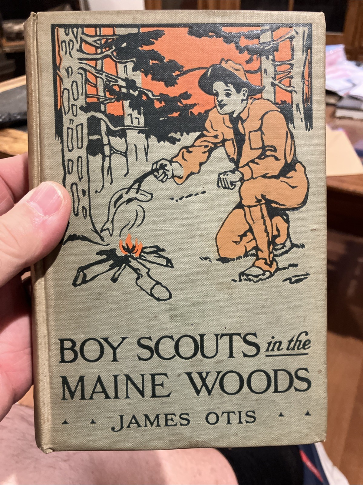 Boy Scouts in The Maine Woods by James Otis  Thomas Crowell 1911