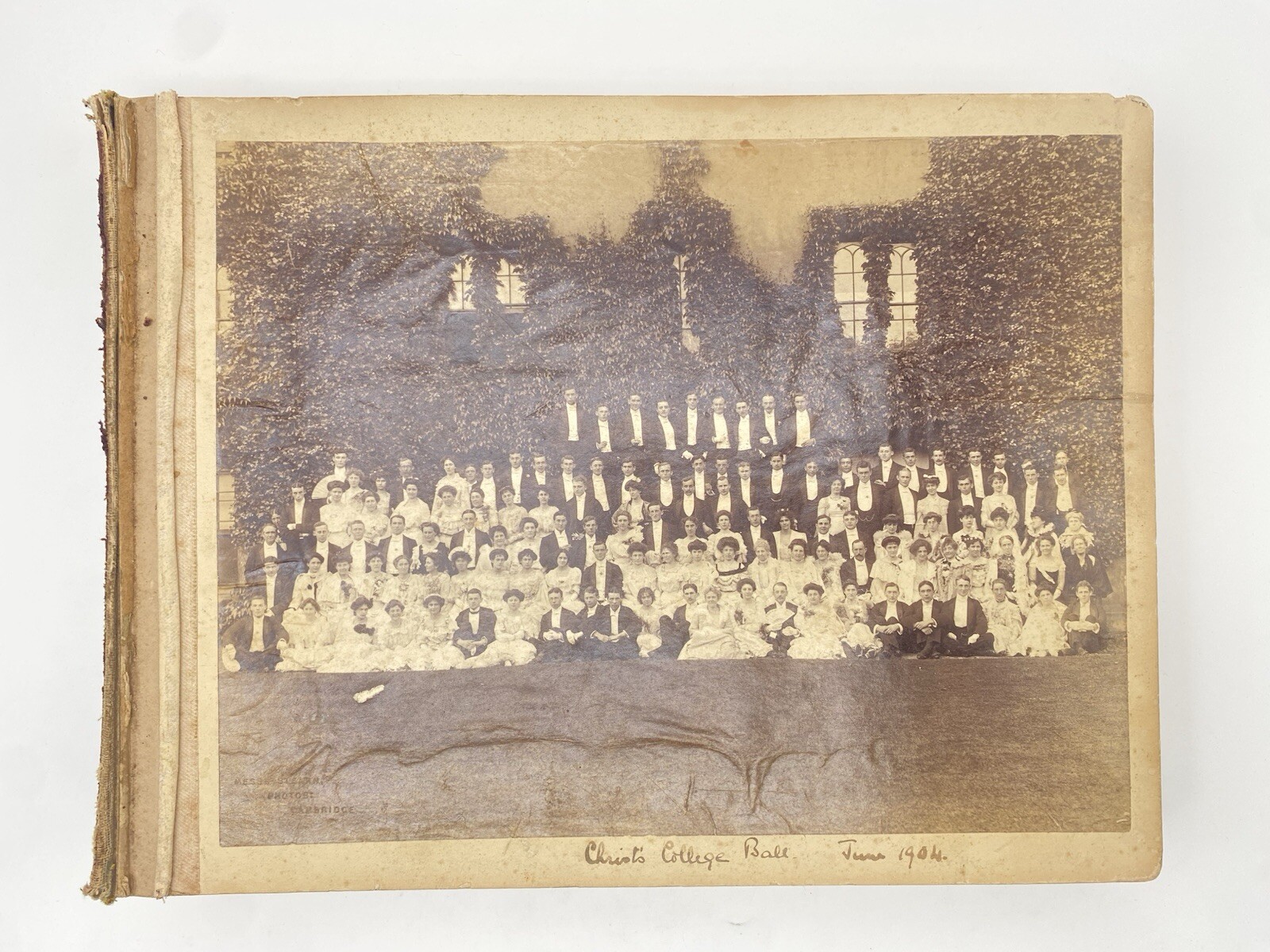 INCREDIBLE 1904-1907 Photo Album of Mystery British Socialite, English