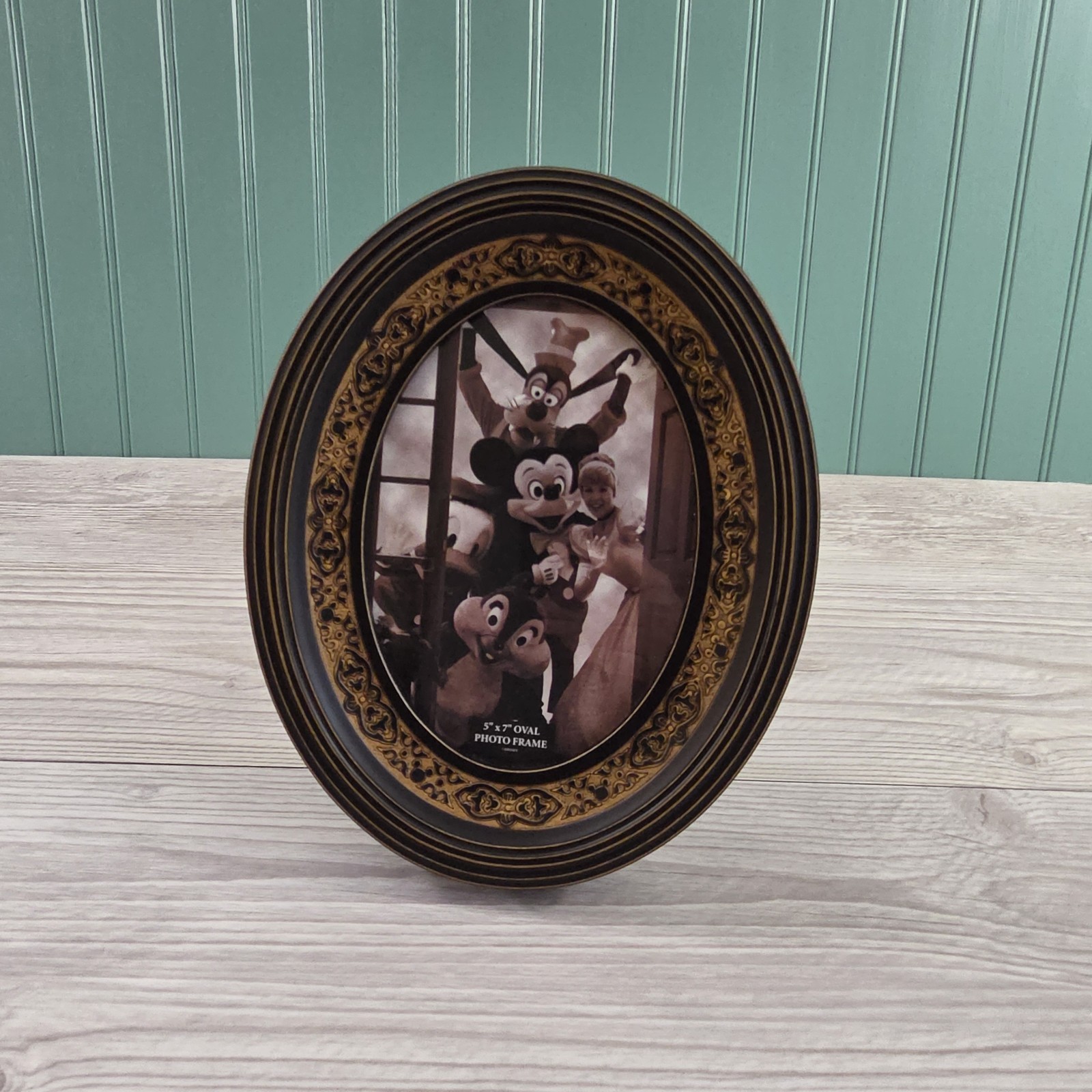 Disney Parks Silhouette Studio 5x7 Oval Photo Frame