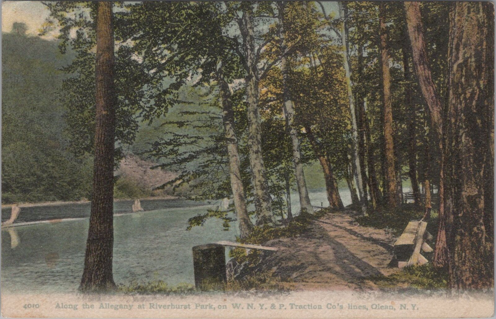 Along the Alleghany at Riverhurst Park, Olean, New York 1913 Postcard