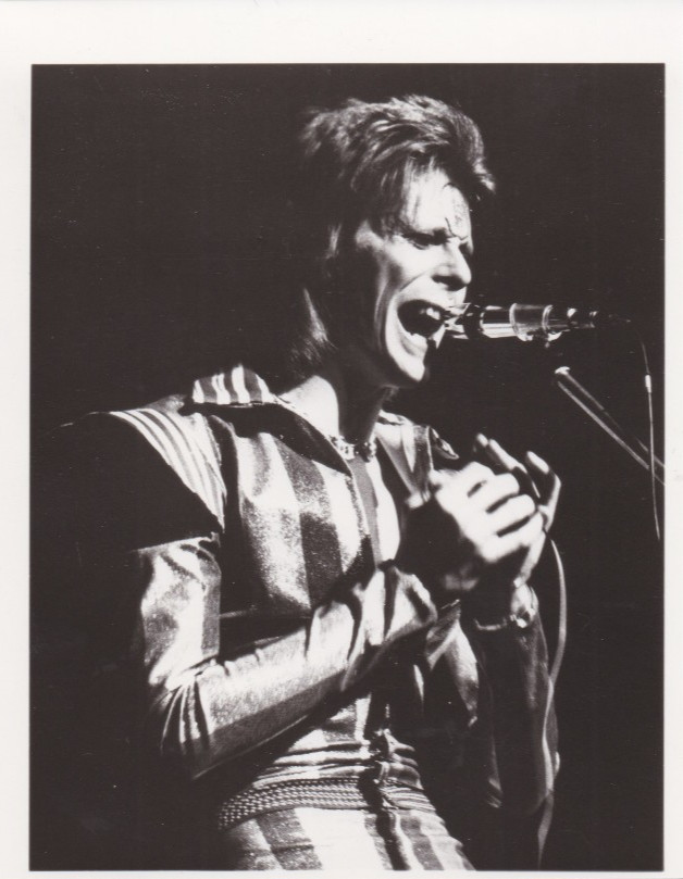 1995 Press Photo Singer David Bowie in concert as Ziggy Stardust in 1973