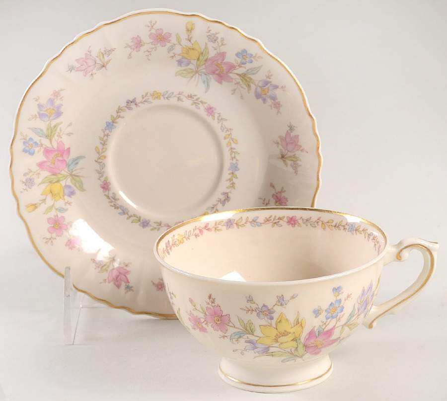 Syracuse Briarcliff Cup & Saucer 701457