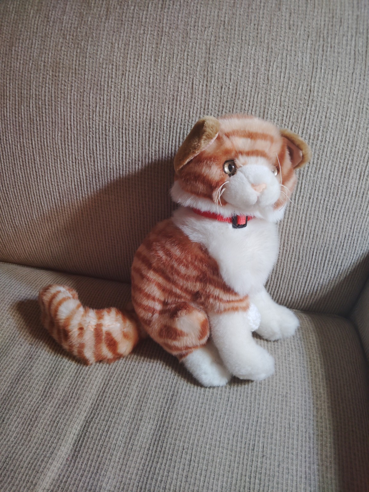 Tom Cat With Penis Tom Cat With Penis