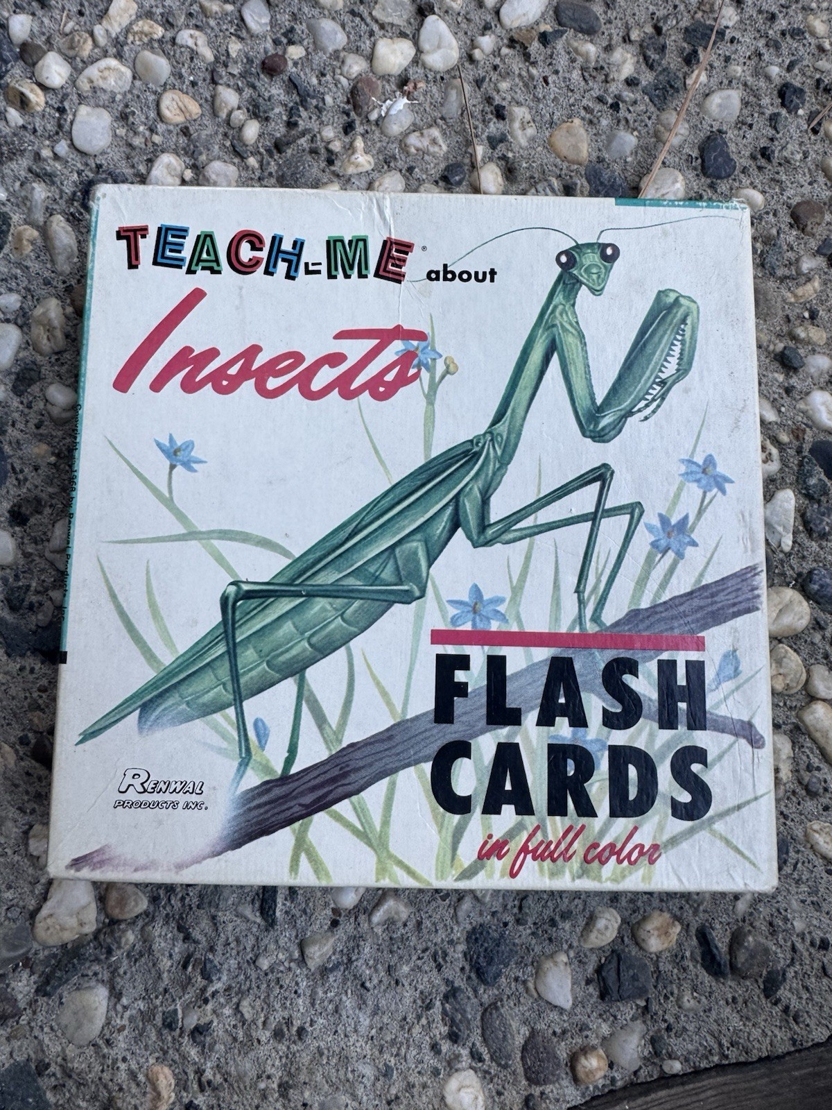 Vintage 1960s Teach-Me About Insects Flash Cards – Renwal, Original Box & Insert Vintage 1960s Teach-Me About Insects Flash Cards – Renwal, Original Box & Insert